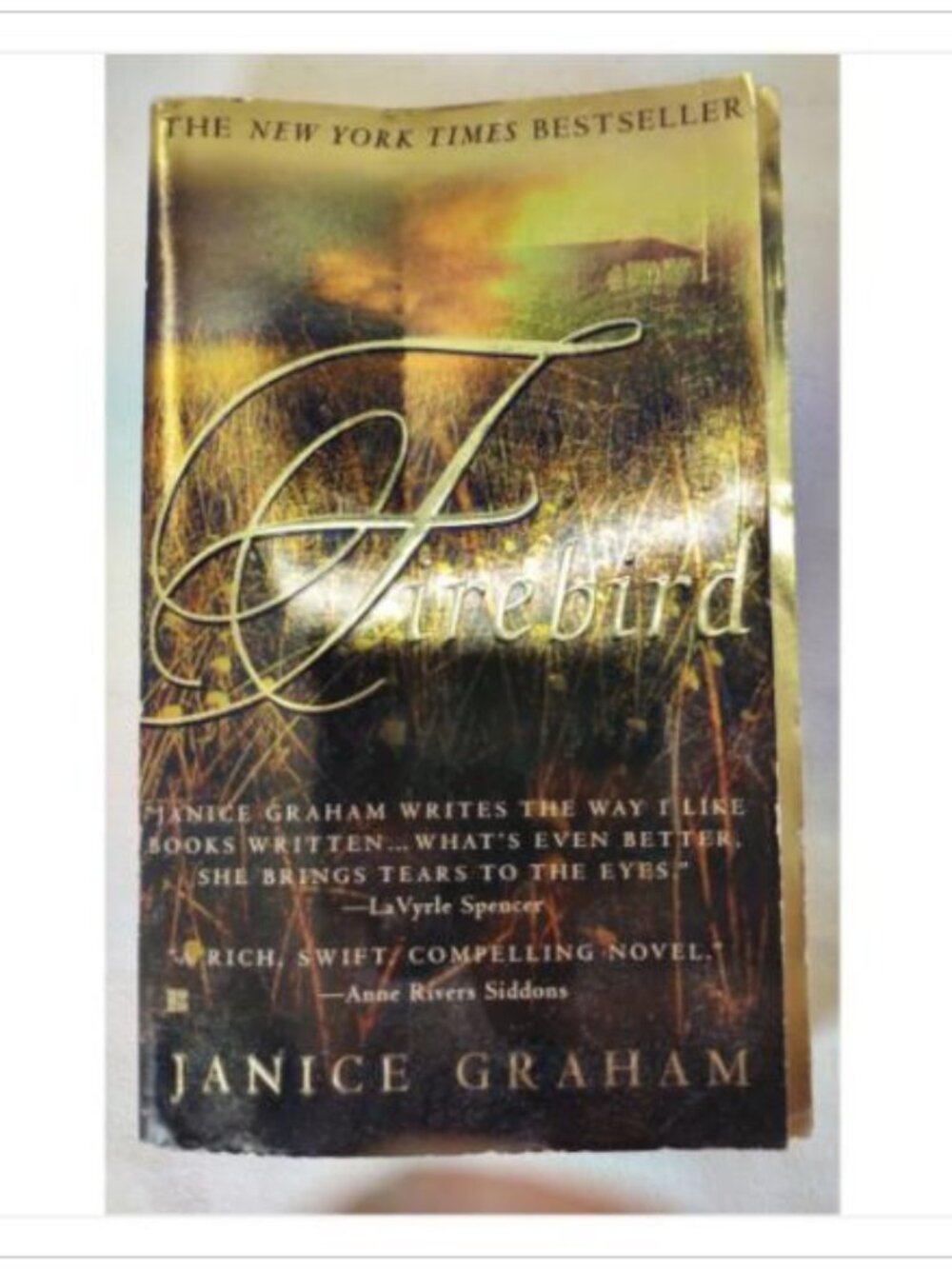 Firebird by Janice Graham 1999 Paperback ISBN 0425169871